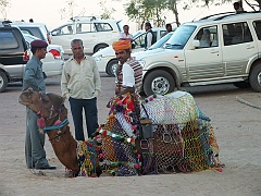 jodhpur (304)